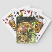 Jeu De Cartes "La chance des Irlandais !" (dos)