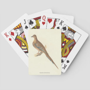 Jeu De Cartes La colombe en deuil (tourterelle de Caroline) NY B