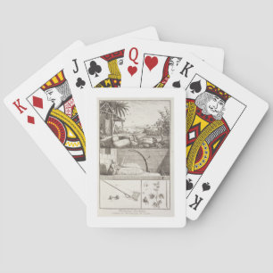 Jeu De Cartes La culture du coton, de l'"Encyclopédie"