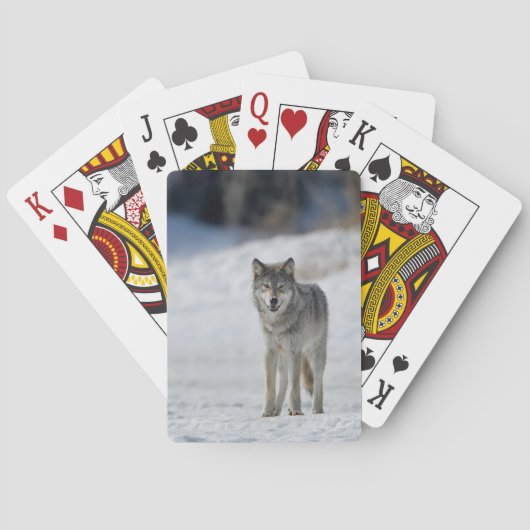 Jeu De Cartes La Faune et les Cartes (dos)