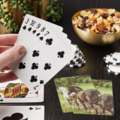 Jeu De Cartes La Ferme Rustique des beaux chevaux (In Situ)