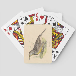 Jeu De Cartes La larve de l'Est (Stourne ella magna) NY Birds
