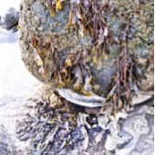 JEU DE CARTES LA PLAGE