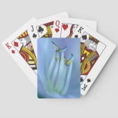 Jeu De Cartes La Terre (dos)