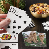 Jeu De Cartes Labradoodle Chien chiot (In Situ)