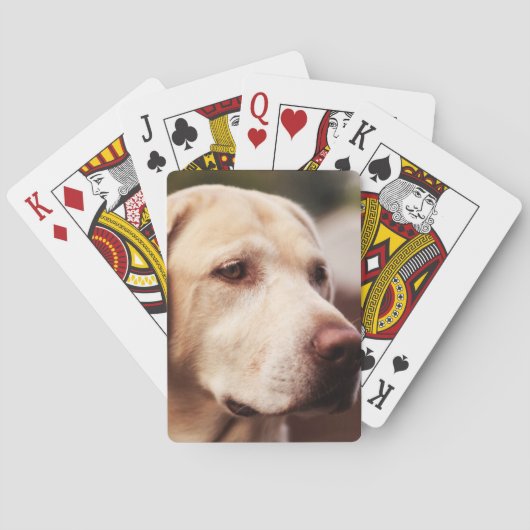 Jeu De Cartes Labrador Retriever (dos)