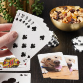 Jeu De Cartes Labrador retriever (In Situ)