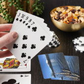 Jeu De Cartes Lac Diamond, Oregon (In Situ)