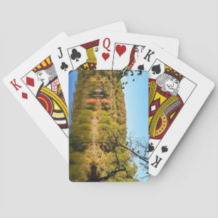 Jeu De Cartes Lac du Parc d'État d'Ozarks, Missouri
