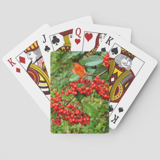 Jeu De Cartes lactée (dos)