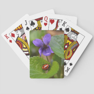 Jeu De Cartes Ladybug sur les fleurs de violet doux