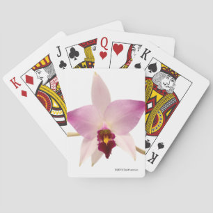 Jeu De Cartes Laelia Ancep