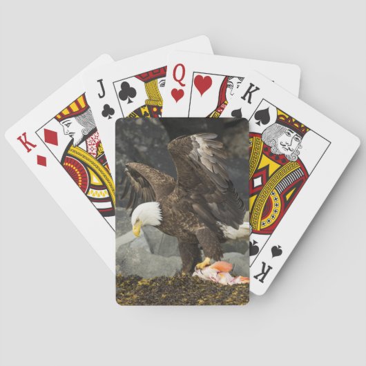 Jeu De Cartes L'aigle chauve ultime (dos)