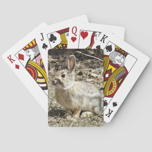 Jeu De Cartes Lapin à queue de coton R24 (dos)