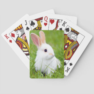 Jeu De Cartes Lapin blanc