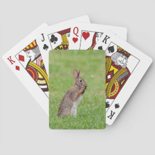 Jeu De Cartes Lapin debout dans l'herbe et l'air timide