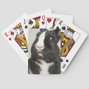 Jeu De Cartes Lapin lapin noir et blanc Startted