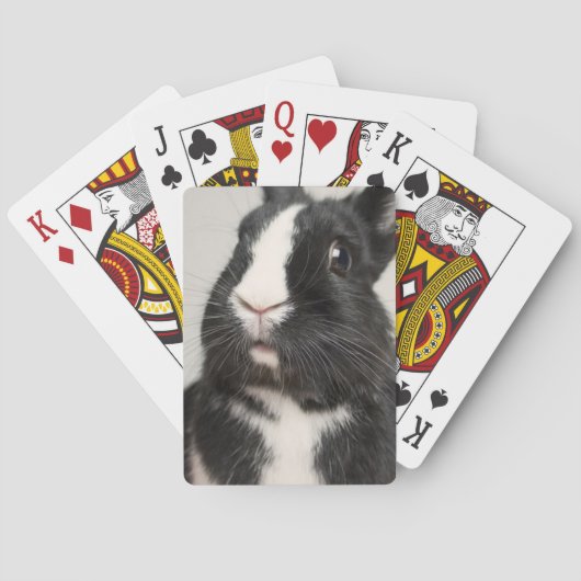 Jeu De Cartes Lapin lapin noir et blanc Startted (dos)