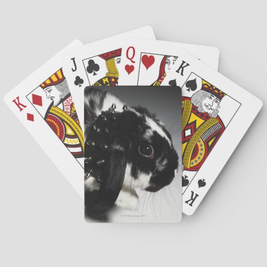Jeu De Cartes Lapin noir et blanc avec col clouté (dos)
