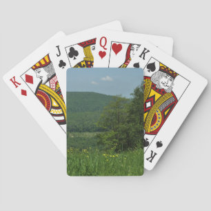Jeu De Cartes Laurel Highlands Pennsylvanie Photographie d'été