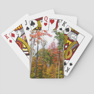 Jeu De Cartes L'automne dans la forêt Photographie d'automne col