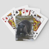 Jeu De Cartes Le Bear Deck (dos)
