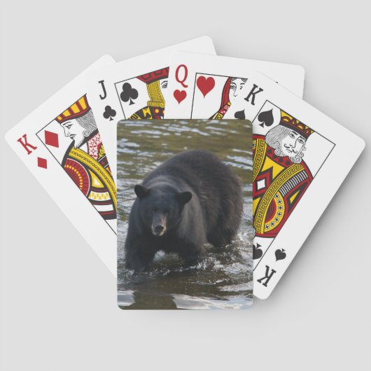Jeu De Cartes Le Bear Deck (dos)