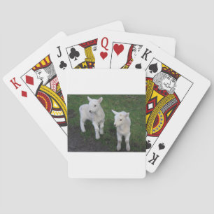 Jeu De Cartes Le bébé mignon de ranch de ferme jumelle l'agneau
