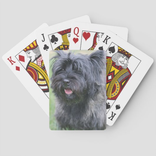 Jeu De Cartes Le Caire (dos)