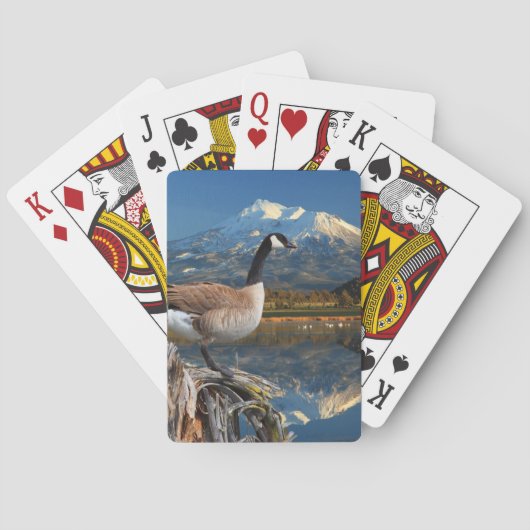 JEU DE CARTES LE CANADA SE DÉPLACE SUR LE LAC (dos)