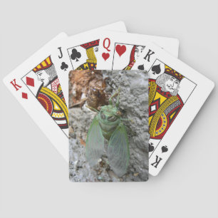 Jeu De Cartes Le Canada sur le mur