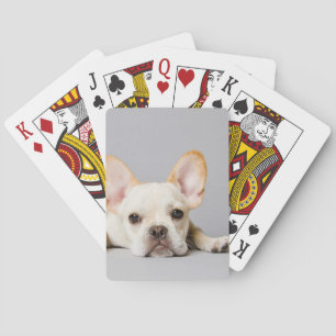 Jeu De Cartes Le Chien-taureau français couché