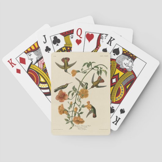 Jeu De Cartes Le colibri mangue des oiseaux d'Amérique d'Audubon (dos)