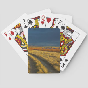 Jeu De Cartes Le coucher de soleil met en valeur l'écorce rouge