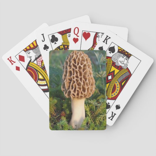 Jeu De Cartes Le délicieux champignon morel (dos)