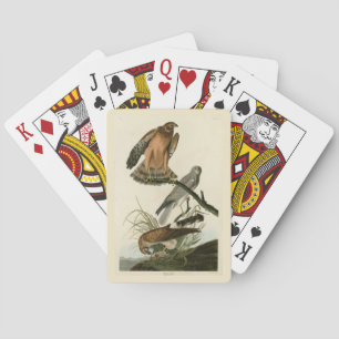 Jeu De Cartes Le faucon des marais des oiseaux d'Amérique d'Audu