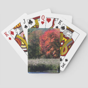 Jeu De Cartes Le Foliage D'Automne Bordant Une Nature Marécageus