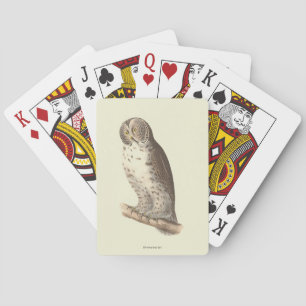 Jeu De Cartes Le grand hibou gris (Strix nebulosa) NY Bird Image