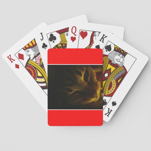 Jeu De Cartes Le gros plan d'Indigo (dos)