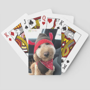 Jeu De Cartes Le mignon Goldendoodle dans sa tenue de Noël