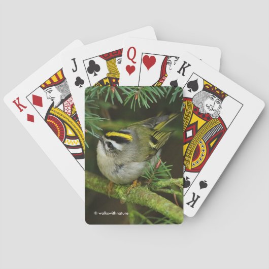Jeu De Cartes Le mignon oiseau chanteur Kinglet provoque un remu (dos)