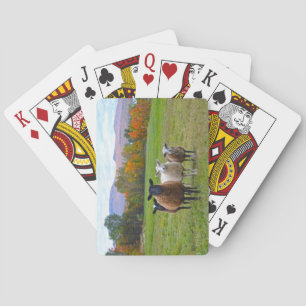 Jeu De Cartes Le mouton du Vermont en automne