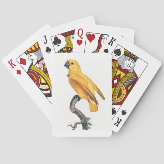 Jeu De Cartes Le perroquet du Sénégal (dos)