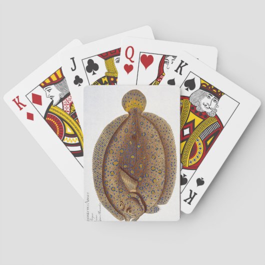 Jeu De Cartes Le plat XLVI de flet d'Argus (Pleuronectes Argus) (dos)