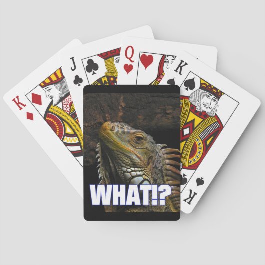 Jeu De Cartes Le Quoi ! ? Iguana (dos)