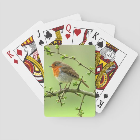 Jeu De Cartes Le Robin (dos)