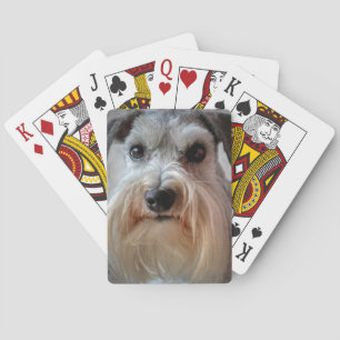 Jeu De Cartes Le visage de Schnauzer Dog