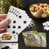 Jeu De Cartes Lémur anneau-coupé la queue par bébé (In Situ)