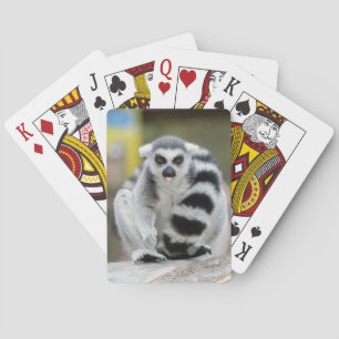 Jeu De Cartes Lémurien plein de personnalité