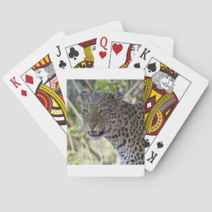 Jeu De Cartes Leopard Chat Animal Afrique Jungle Pays Destinée